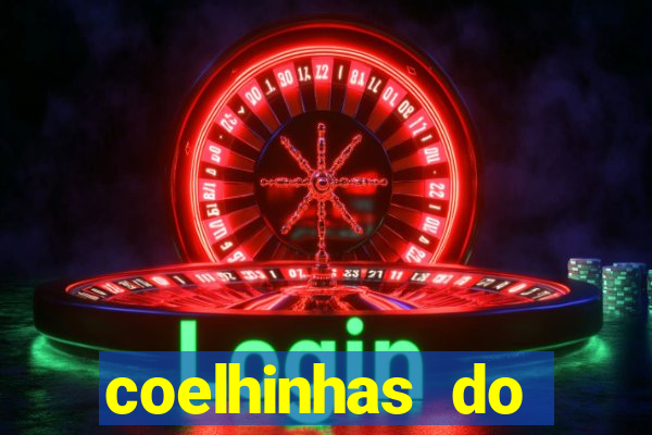 coelhinhas do brasil recife